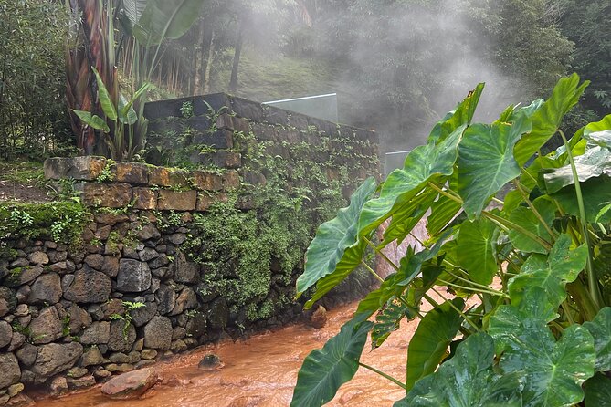 Full Day Private Tour in Furnas Valley Breath of the Volcano - The Sum Up