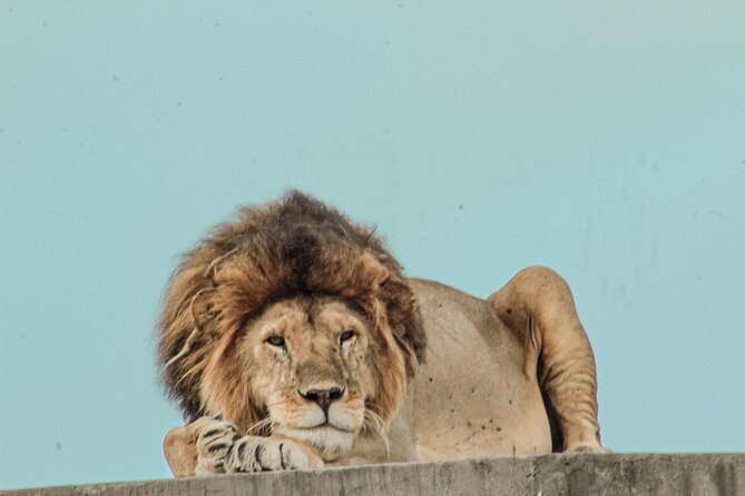 Full-Day Safari Tour Lake Manyara or Tarangire National Park - Weather Considerations