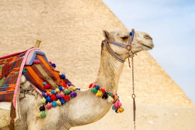 Full Day Small Group Tour to Cairo From Hurghada - Policies and Refunds