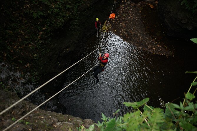 Full Day Springs Canyon Bali Canyoning Adventure - Logistics Information