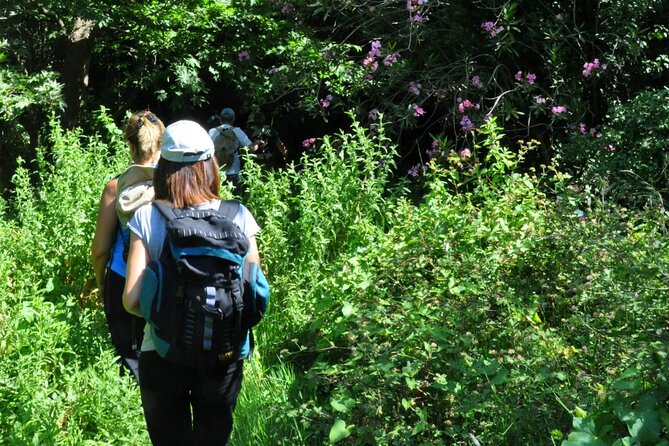 Full Day Tour: Richtis Waterfall, Mochlos & Voulisma Beach Escape - Tour Overview