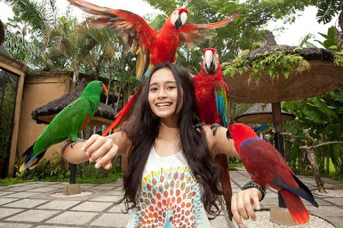 Full Day Trip Bali Bird Park And Kintamani - Pickup Information