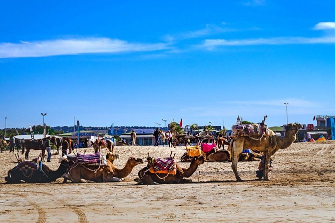 Full Day Trip From Marrakech To Essaouira Mogador - Reservation and Availability