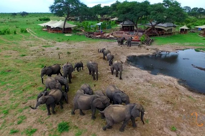Full-Day Trip to Hwange National Park With Hotel Pickup - Additional Information and Requirements