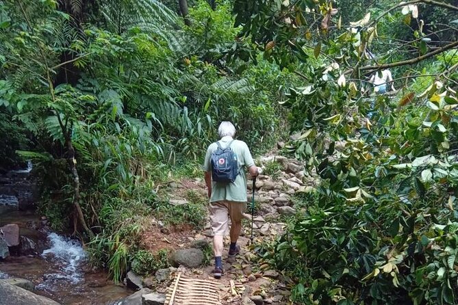 Fullday Hiking Mount Salak Active Volcano in Sukabumi - Inclusions and Exclusions