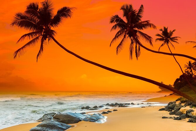 Galle & Bentota Day Tour With River Safari From Colombo & Negombo - Itinerary