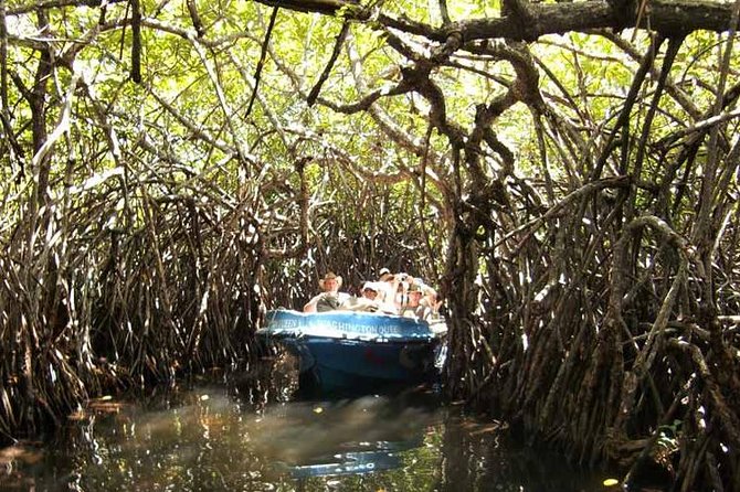 Galle Day Trip With Madu River Safari From Colombo - Return to Colombo