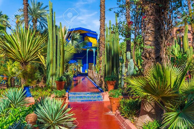 Garden Wonders Tour of Majorel, Menara and Anima Garden - Schedule Details