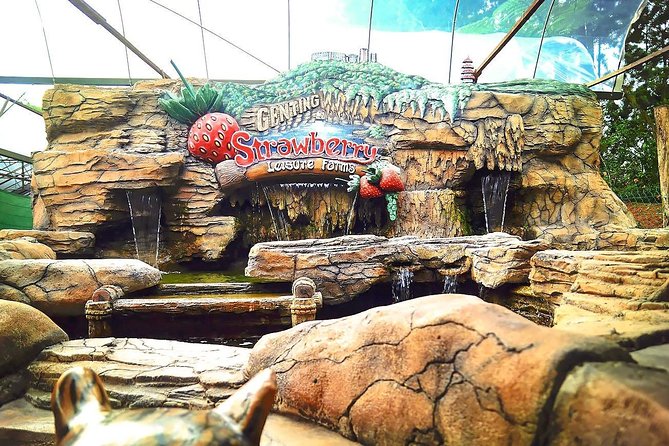 Genting Highland And Batu Caves Tour - Pickup Details