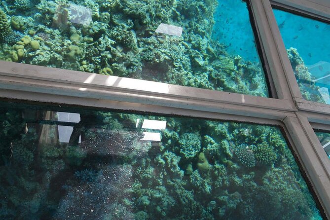 Glass Bottom Boat Private Tour From Sharm El Sheikh - Pricing and Guarantee