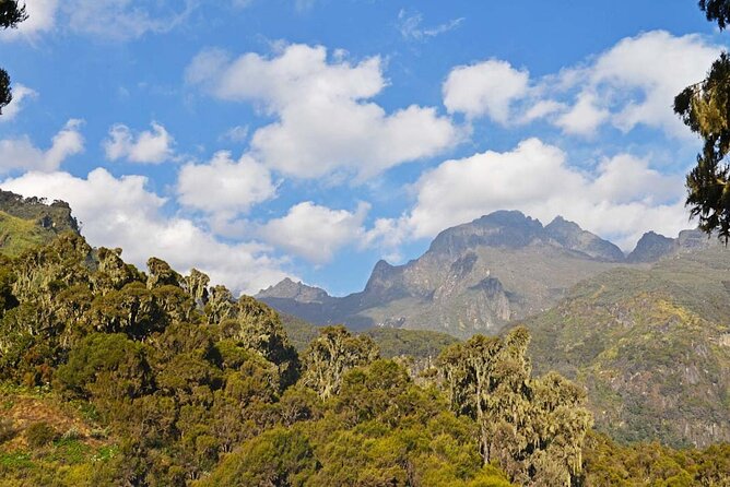 Gorilla & Rwenzori Expedition in Uganda – 15 Days