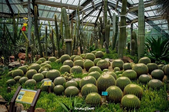 Guangzhou South China National Botanical Garden Private Day Tour - Pickup Information