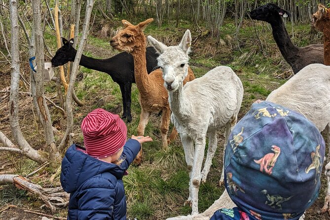 Guided Hiking Tour on the Lands of Steim Farm in Vik, Norway - End Point