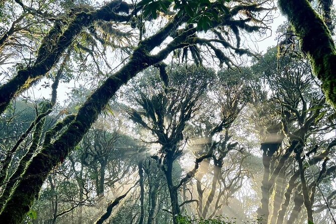 Ha Giang Bikkis Jungle Homestay - End Point Information