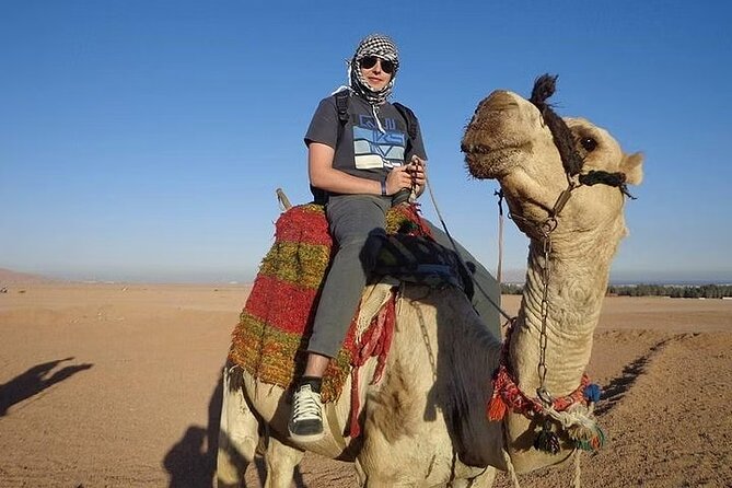 Half Day ATV Quad Safari With Camel Ride From Marsa Alam - Activity Location and Inclusions
