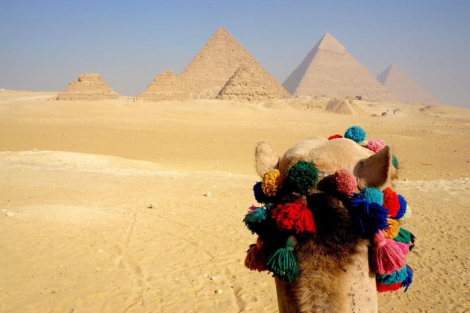 Half Day Giza Pyramids Sphinx With 1 Hour Camel Ride - The Sum Up