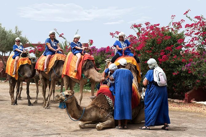 Half Day Marrakech Camel Safari - Tour Experience