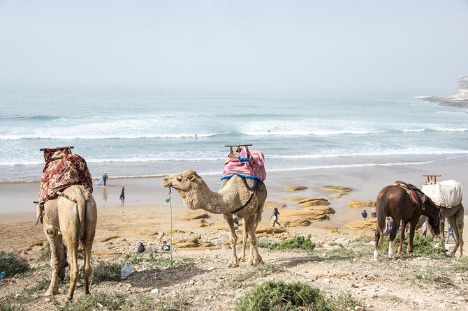 Half Day Quad Bike Adventure and Horse Ride in Taghazout Beach - Activity Overview