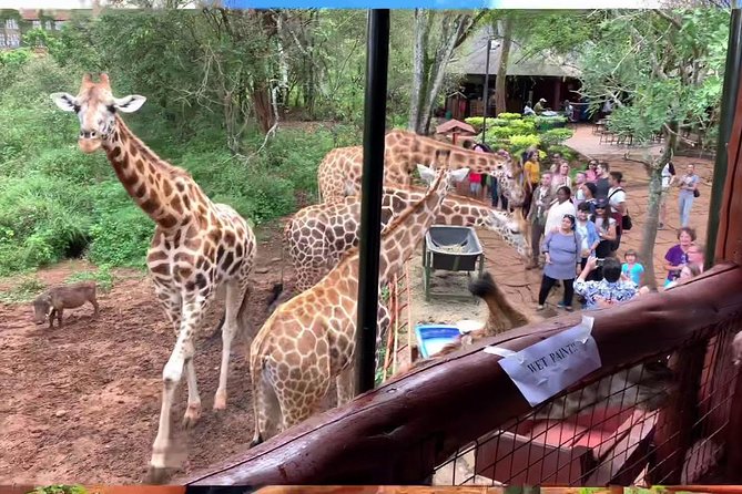 Half Day Tours/Nairobi NATIONAL Park/Elephant & GIRAFFE CENTRE - Tour Inclusions