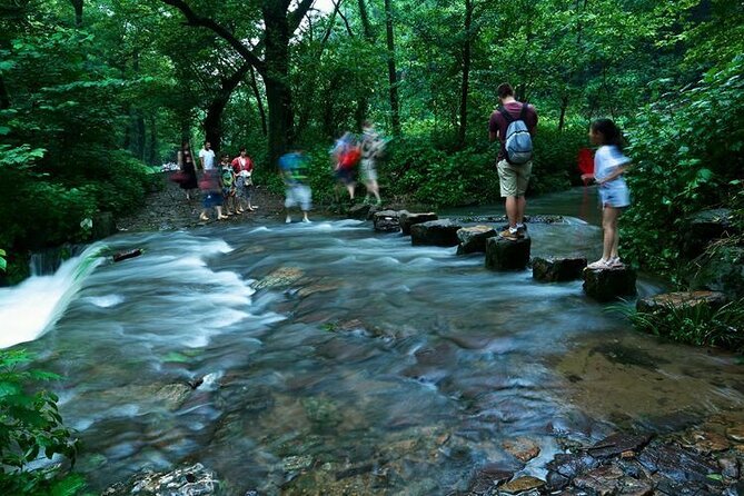Hangzhou Jiuxi and Tea Village Hiking Trip From Shanghai by Train - Inclusions and Exclusions