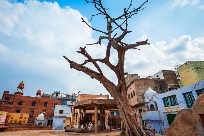 Heritage & Cultural Trails of Mathura (2 Hours Guided Walking Tour) - Meeting Point Information