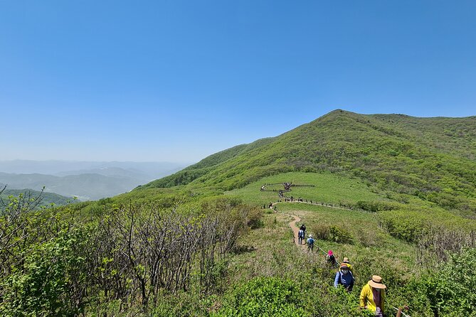 Hiking in Gombaeryeong Wildflowers of Seoraksan National Park - Hiking Trails: Adventure in the Mountains