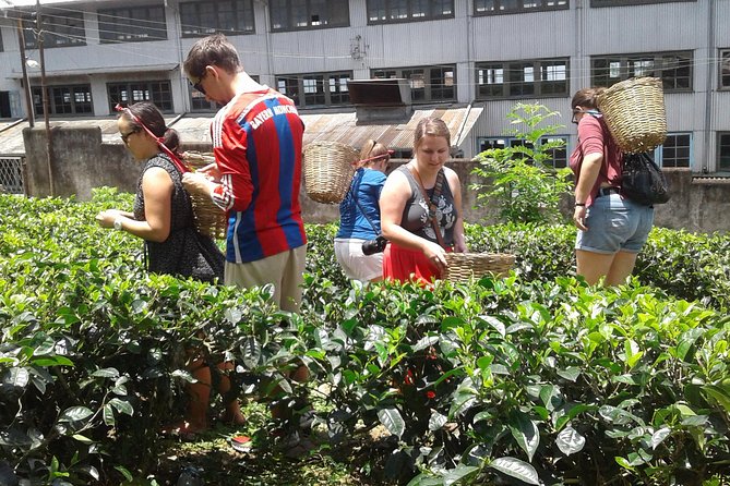 Hill Country 2 Days Private Tour - The Sum Up