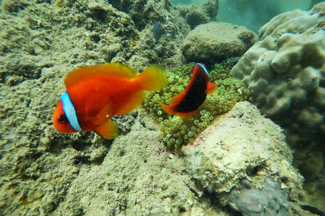 Hoi an Private 2-Day Tour With Snorkeling and Hotel - Itinerary Details