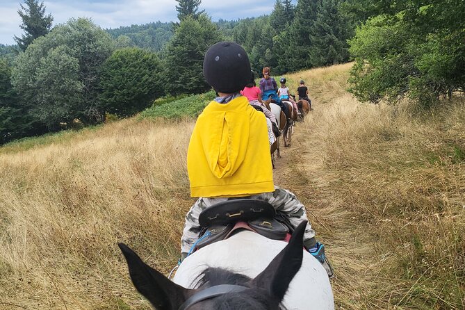 Horse Riding Experience From Borovets - Reservation and Payment Options