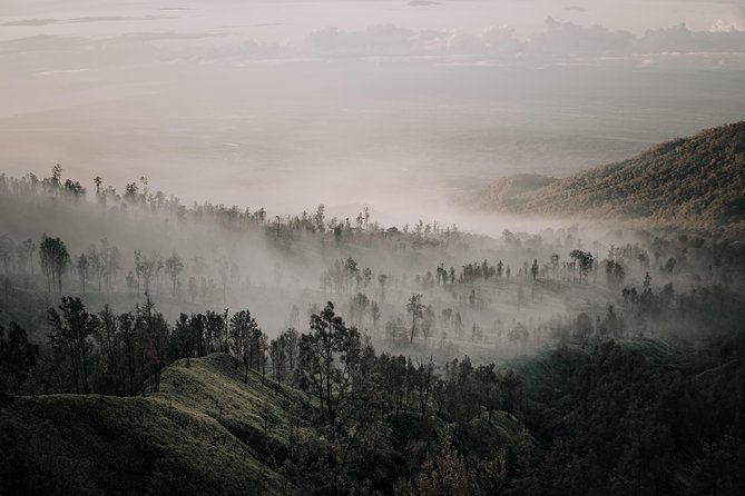 Ijen Crater & Baluran National Park