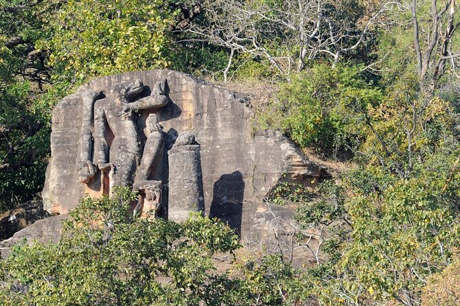 India Wildlife Photography Tour - Accommodation Types and Locations