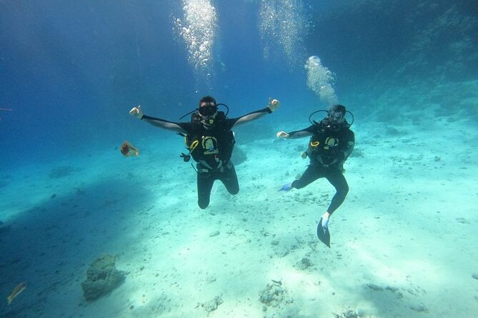 Intro Diving at Ras Mohamed and White Island in Sharm El Sheikh
