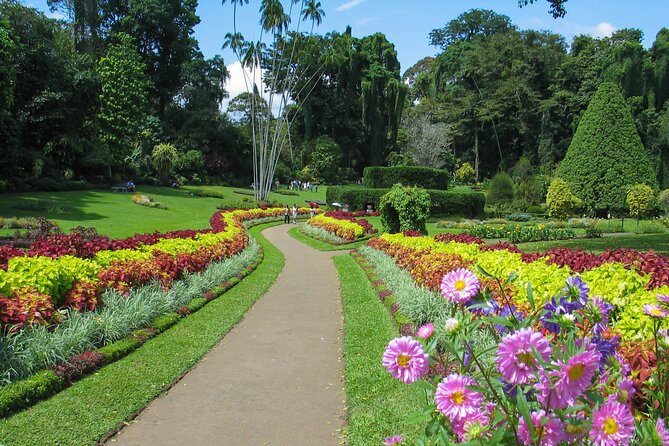 Kandy City Tour From Dambulla
