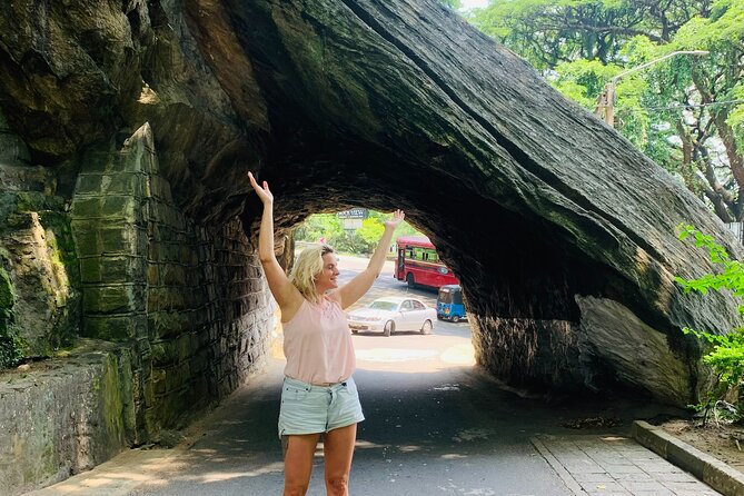 Kandy Day Tour With Tea Factory Visit From Negombo