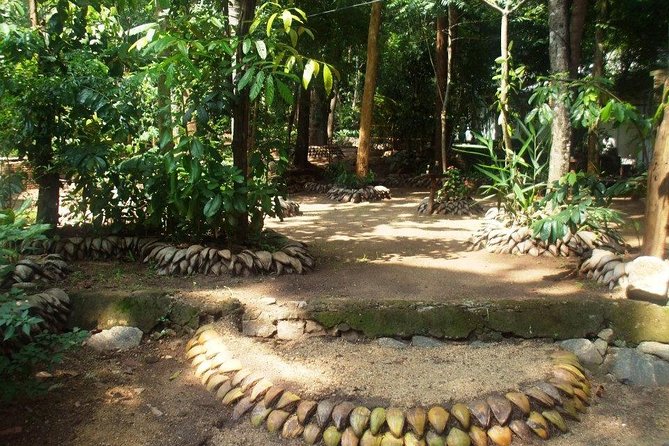 Kandy Transfer Visiting Dambulla Cave Temple and Herbal Garden - Pickup and Drop-off Details
