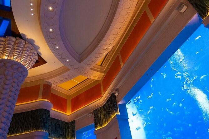 Lost Chambers Aquarium Private Tour With Pick and Drop off