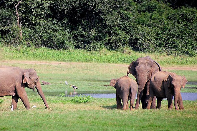 Lunugamvehera National Park Private With Naturalist (12 Hrs) - Inclusions and Exclusions