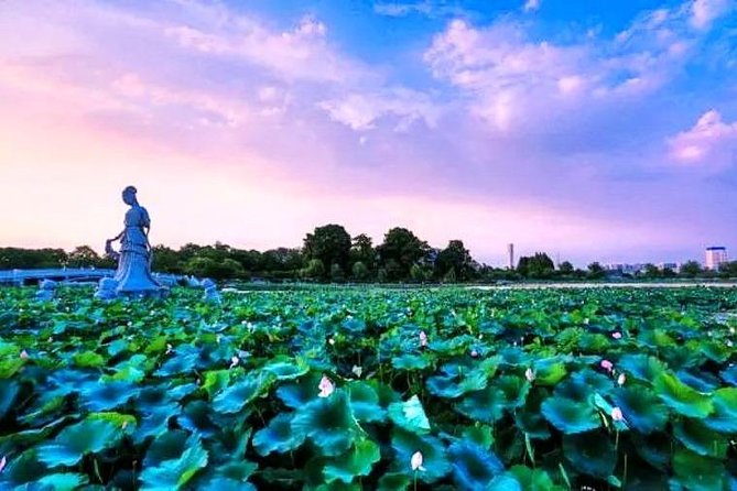 Luzhi Ancient Water Town Private Tour From Suzhou With Lunch - What to Expect