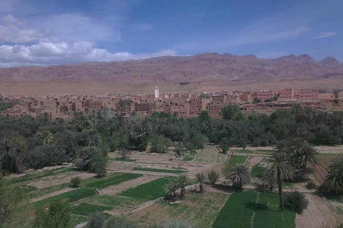 Marrakech Desert Tour 3-Days - How to Book