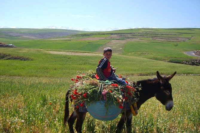 Marrakesh Day Trip to Ouzoud Waterfalls - Pickup Schedule