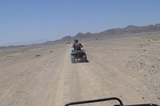 Marsa- Alam Sunset Desert Safari Trip By ATV Quad - Camel Ride and Bedouin Village Visit