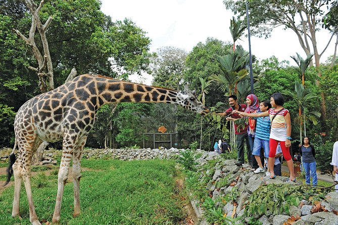 Melaka Zoo & Crocodile Park Tour From Kuala Lumpur With Lunch - Tour Overview
