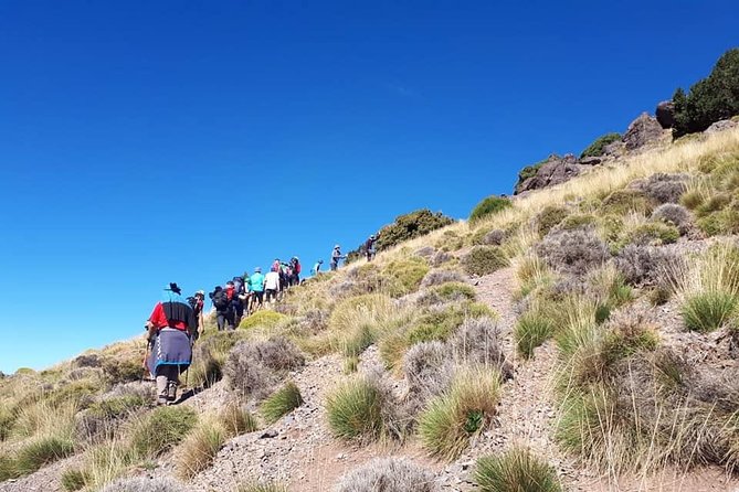 Mgoun Trek Challenge (4068 M) in Full Board Economic | Private & Safe - Price and Availability