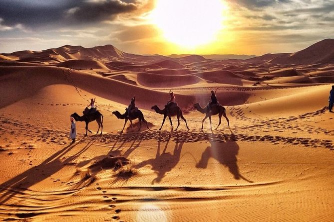 Morocco Tour Private 7-Days From Fes to Chefchaouen - Merzouga and Marrakech - Booking Information