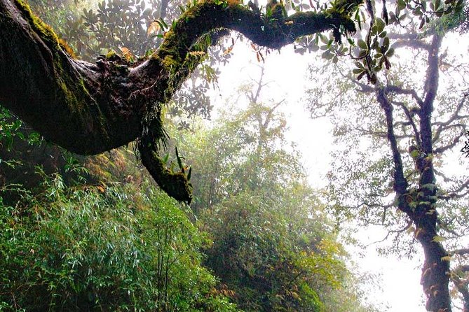 Mount Fansipan 2 Days Trek - Frequently Asked Questions