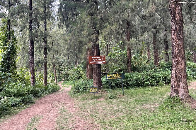 Mount Meru Private Waterfall Tour