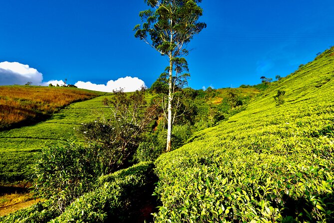 Multiday Safari and Hiking Adventure in Sri Lanka - Frequently Asked Questions
