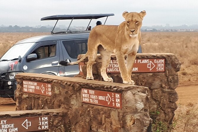 Nairobi Full Day Adventure Tour With Professional Driver Guide