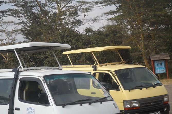 Nairobi Morning Game Drive/elephant Visit/giraffe Centre 6.a.m To 12 Noon - The Sum Up