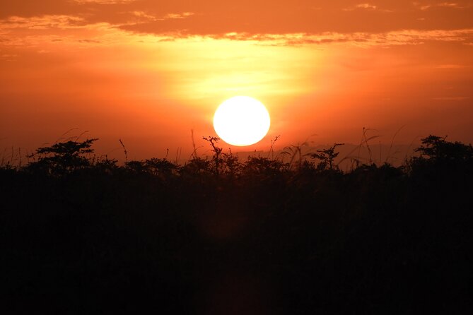 Nairobi National Park Drives